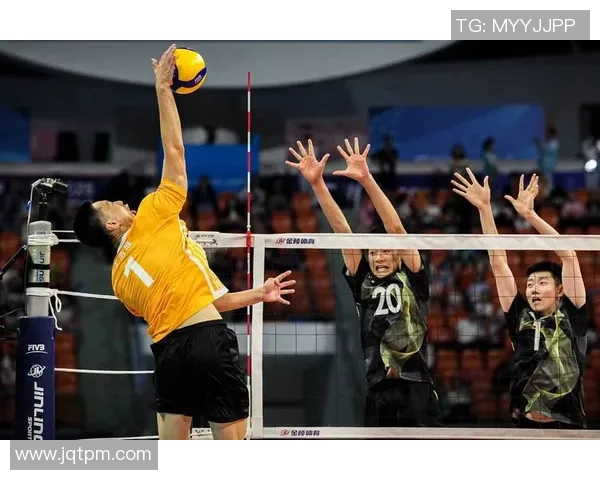 上海排球队排球意识排行榜荣登第二名引发热议