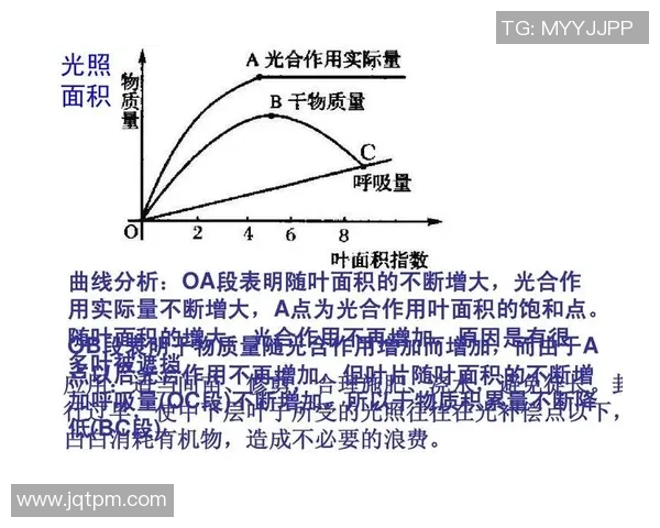 足球员档次的划分与影响因素分析及其对职业生涯发展的重要性探讨